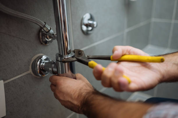  Stockbridge, MI Plumbing Pros